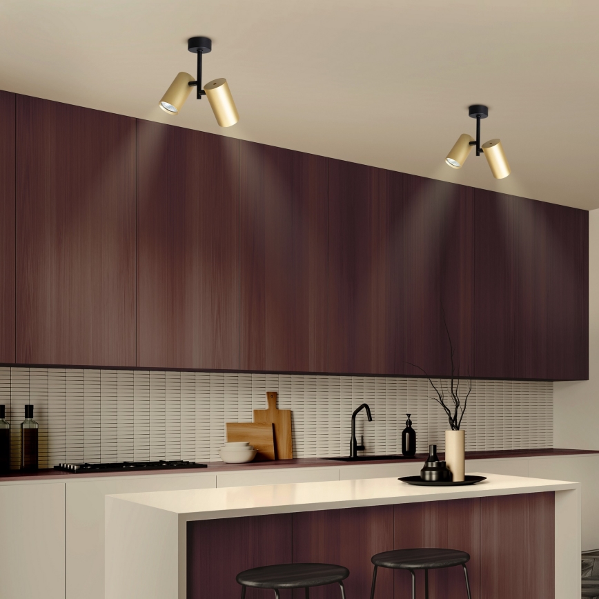 Brilagi - Foco SELE VERTICAL 2xGU10/30W/230V preto/dourado