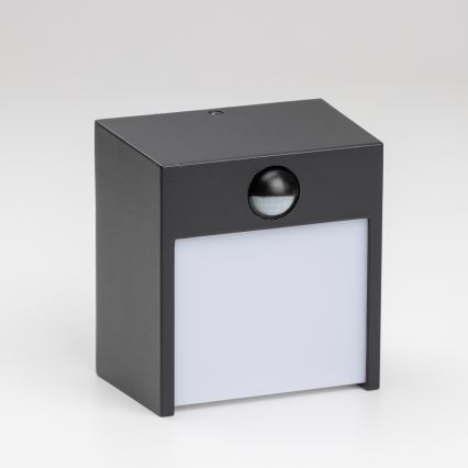 Brilagi - Iluminação de parede exterior LED com sensor TERNI LED/12W/230V preto IP44