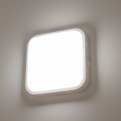 Brilagi - Iluminação de parede exterior LED LED/20W/230V IP54