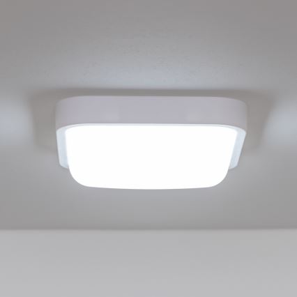 Brilagi - Iluminação de parede exterior LED LED/20W/230V IP54