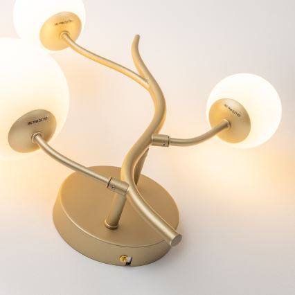 Brilagi - Iluminação de parede LED MISTEL 3xG9/3W/230V dourado/branco