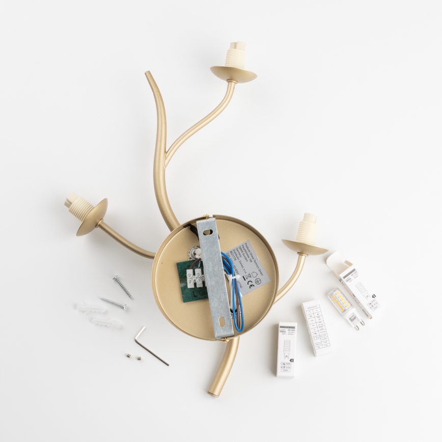 Brilagi - Iluminação de parede LED MISTEL 3xG9/3W/230V dourado/branco