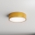 Brilagi - Iluminação de teto CLARE 2xE27/40W/230V diâmetro 30 cm dourado