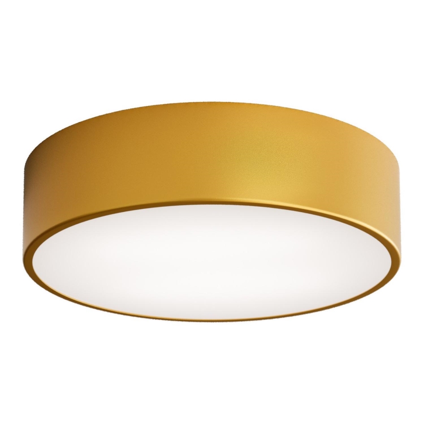 Brilagi - Iluminação de teto CLARE 2xE27/40W/230V diâmetro 30 cm dourado