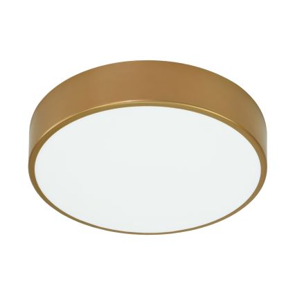 Brilagi - Iluminação de teto CLARE 3xE27/40W/230V diâmetro 40 cm dourado