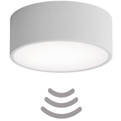 Brilagi - Iluminação de teto com sensor CLARE 1xE27/40W/230V diâmetro 20 cm cinzento