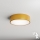 Brilagi - Iluminação de teto com sensor CLARE 2xE27/40W/230V diâmetro 30 cm dourado