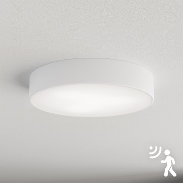 Brilagi - Iluminação de teto com sensor CLARE 3xE27/40W/230V diâmetro 40 cm branco