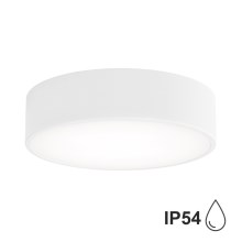 Brilagi - Iluminação de teto de casa de banho CLARE 2xE27/24W/230V diâmetro 30 cm branco IP54