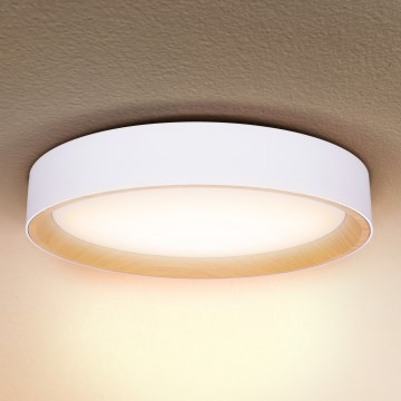 Brilagi - Iluminação de teto LED com regulação LARIOS LED/48W/230V 3000-6500K ø 39 cm branco + comando