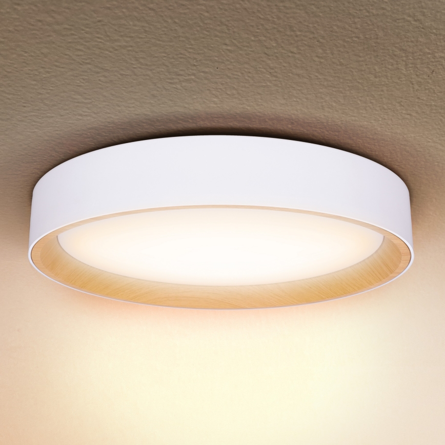 Brilagi - Iluminação de teto LED com regulação LARIOS LED/48W/230V 3000-6500K ø 39 cm branco + comando