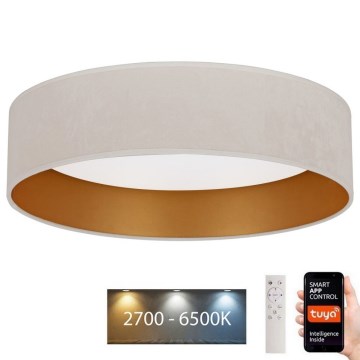 Brilagi - Iluminação de teto LED com regulação VELVET SMART LED/24W/230V d. 45 cm 2700-6500K Wi-Fi Tuya + controlo remoto