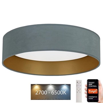 Brilagi - Iluminação de teto LED com regulação VELVET SMART LED/24W/230V d. 45 cm 2700-6500K Wi-Fi Tuya menta/dourado + comando