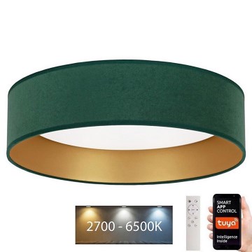 Brilagi - Iluminação de teto LED com regulação VELVET SMART LED/24W/230V d. 45 cm 2700-6500K Wi-Fi Tuya verde/dourado + comando