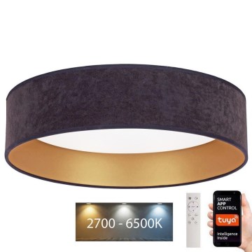 Brilagi - Iluminação de teto LED com regulação VELVET SMART LED/36W/230V d. 55 cm 2700-6500K Wi-Fi Tuya cinzento/dourado + comando