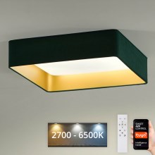 Brilagi - Iluminação de teto LED com regulação VELVET SQUARE SMART LED/36W/230V 2700-6500K Wi-Fi Tuya + controlo remoto verde