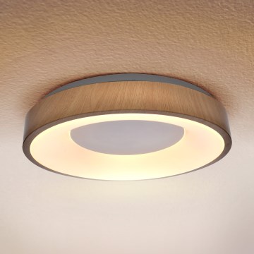 Brilagi - Iluminação de teto LED DORIA LED/24W/230V