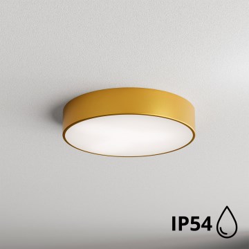 Brilagi - Iluminação de teto para casa de banho CLARE 2xE27/24W/230V diâmetro 40 cm IP54 dourado