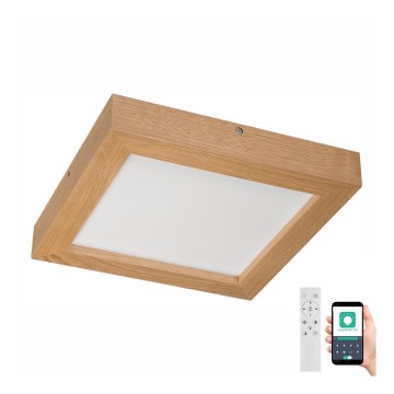 Brilagi - Iluminação de teto para casa de banho LED com regulação WOODY FRAME LED/24W/230V carvalho 30x30 cm 3000-6000K IP44 + comando