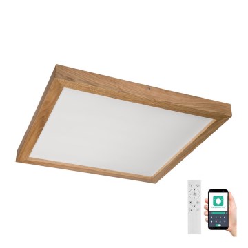 Brilagi - Iluminação de teto para casa de banho LED com regulação WOODY FRAME LED/50W/230V carvalho 60x60 cm 3000-6000K IP44 + comando