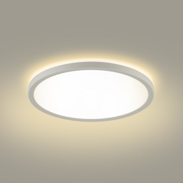 Brilagi - Iluminação de teto para casa de banho LED ULTRA SLIM LED/12W/230V diâmetro 22,5 cm branco IP54