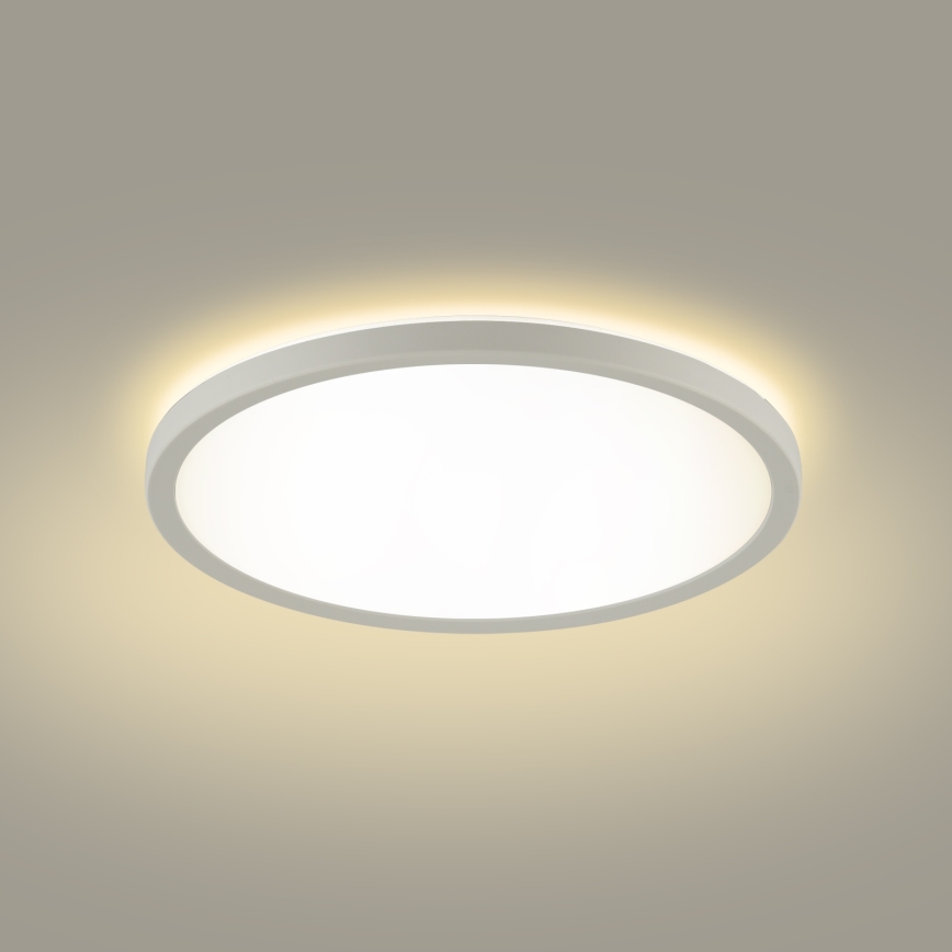 Brilagi - Iluminação de teto para casa de banho LED ULTRA SLIM LED/12W/230V diâmetro 22,5 cm branco IP54