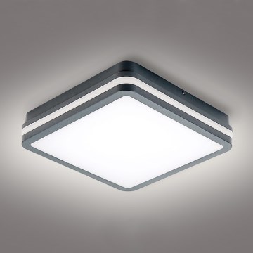 Brilagi - Iluminação exterior LED BENE LED/24W/230V 26x26 cm antracite IP54