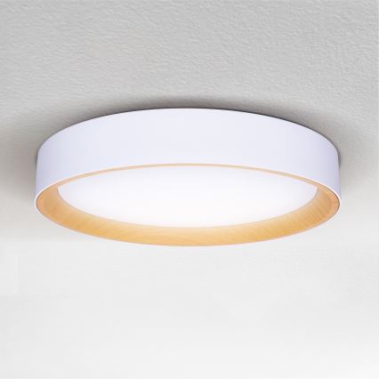 Brilagi - Iluminação de teto LED com regulação LARIOS LED/48W/230V 3000-6500K ø 39 cm branco + comando