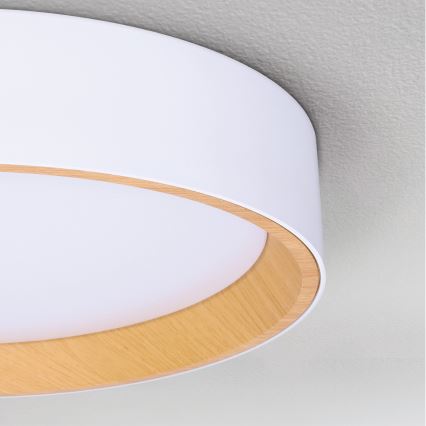 Brilagi - Iluminação de teto LED com regulação LARIOS LED/48W/230V 3000-6500K ø 39 cm branco + comando