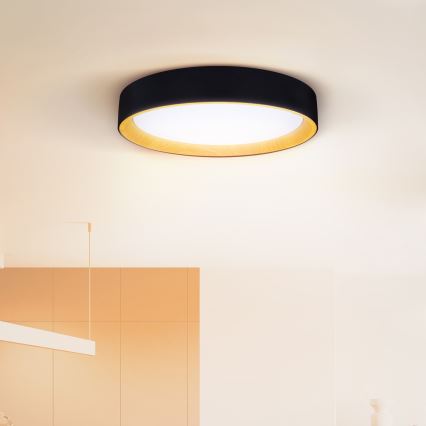 Brilagi - Iluminação de teto LED com regulação LARIOS LED/60W/230V 3000-6500K ø 49 cm preto + comando