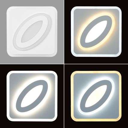 Brilagi - Luminária de Parede LED MODERN MINI LED/32W/230V 3000/4000/6000K