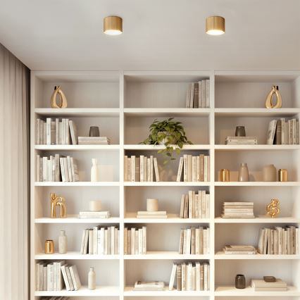 BRILAGI - LED Candeeiro de focos STRIPY 1xGX53/15W/230V 60x82 mm dourado
