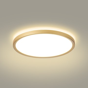 Brilagi - LED Candeeiro de tecto para casa de banho ULTRA SLIM LED/24W/230V Ø 42 cm dourado IP54