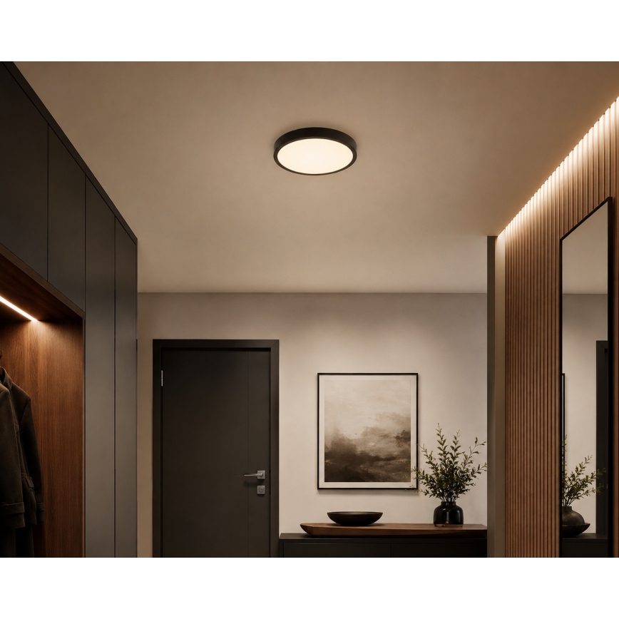 BRILAGI - Candeeiro de teto para casa de banho ZENNA LED/18W/230V Ø 29,5 cm IP44 preto
