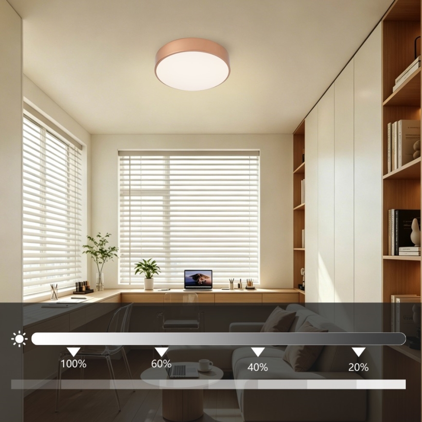 BRILAGI - Candeeiro de teto LED dimerizável POOL LED/24W/230V 3000-6000K pr. 20 cm cobre + controlo remoto