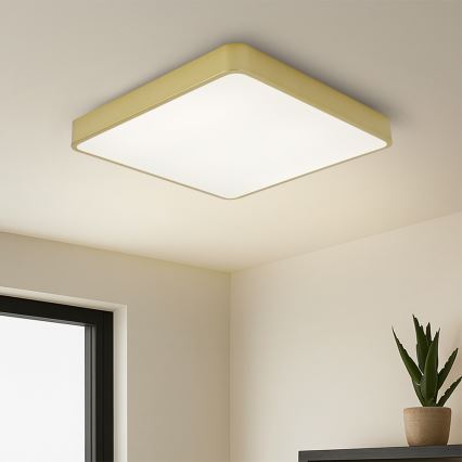 Brilagi - Candeeiro de tecto LED regulável POOL LED/48W/230V 3000-6000K 50x50 cm dourado + comando à distância