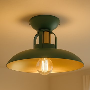 Brilagi - LED Candeeiro integrado FLAMENGO 1xE27/60W/230V verde