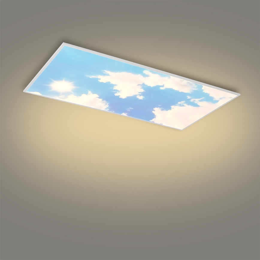 Brilagi - Luminária de teto LED dimerizável SLIMFRAME SKY LED/80W/230V 120x60 cm 3000-6000K prateada/azul + comando remoto