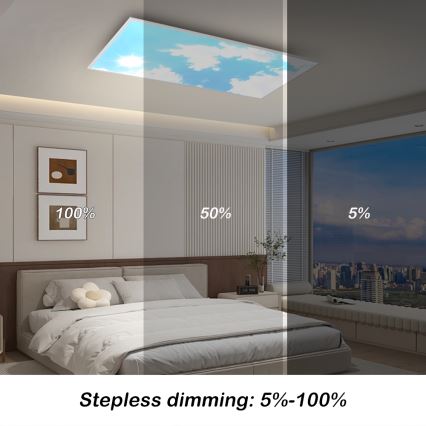 Brilagi - Luminária de teto LED dimerizável SLIMFRAME SKY LED/80W/230V 120x60 cm 3000-6000K prateada/azul + comando remoto