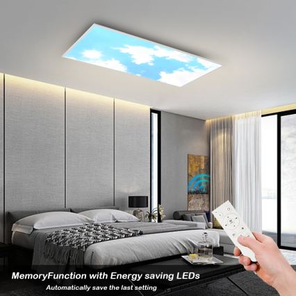 Brilagi - Luminária de teto LED dimerizável SLIMFRAME SKY LED/80W/230V 120x60 cm 3000-6000K prateada/azul + comando remoto