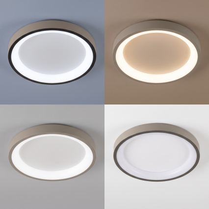 BRILAGI - Candeeiro de teto dimável FALCON SLIM LED/42W/230V 3000-6500K Ø 50 cm branco/bege + controlo remoto
