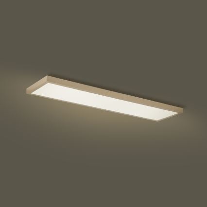 Brilagi - Candeeiro de tecto para casa de banho LED dimerizável FRAME SMART LED/50W/230V 120x30 cm 3000-6000K IP44 bege + controlo remoto