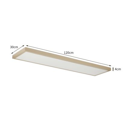 Brilagi - Candeeiro de tecto para casa de banho LED dimerizável FRAME SMART LED/50W/230V 120x30 cm 3000-6000K IP44 bege + controlo remoto