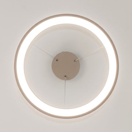BRILAGI - Lustre LED dimerizável suspenso por cabo FALCON SLIM LED/42W/230V 3000-6500K Ø 50 cm bege + controlo remoto