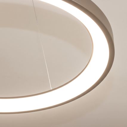 BRILAGI - Lustre LED dimerizável suspenso por cabo FALCON SLIM LED/42W/230V 3000-6500K Ø 50 cm bege + controlo remoto