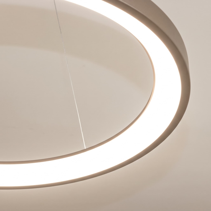 BRILAGI - Lustre LED dimerizável suspenso por cabo FALCON SLIM LED/42W/230V 3000-6500K Ø 50 cm bege + controlo remoto