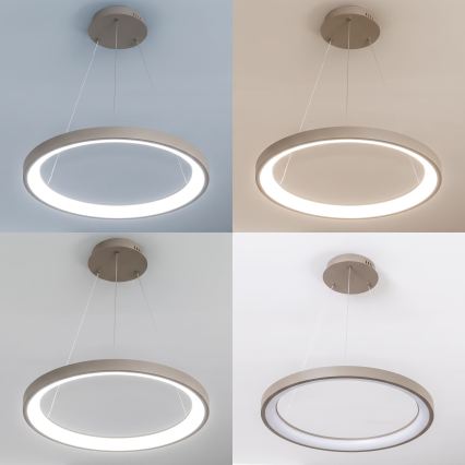 BRILAGI - Lustre LED dimerizável suspenso por cabo FALCON SLIM LED/42W/230V 3000-6500K Ø 50 cm bege + controlo remoto