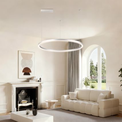 Brilagi - Lustre LED regulável suspenso por cabo PORTOFINO LED/60W/230V 3000-6000K diâmetro 80 cm prateado + controlo remoto