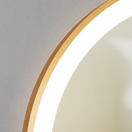 Brilagi - Espelho LED para casa de banho ERBA LED/25W/230V 50x80 cm dourado IP44 CRI 90 dimerizável + CCT