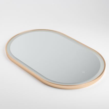 Brilagi - Espelho LED para casa de banho ERBA LED/25W/230V 50x80 cm dourado IP44 CRI 90 dimerizável + CCT